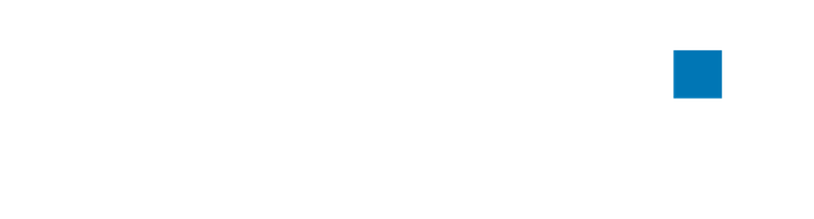 Vema Logo Footer